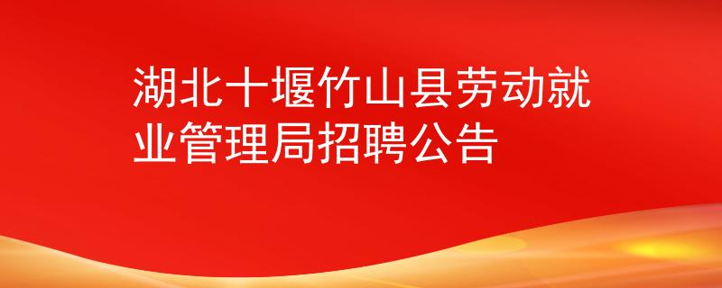 湖北十堰竹山县劳动就业管理局招聘公告