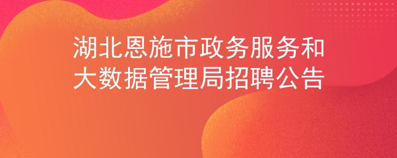 湖北恩施市政务服务和大数据管理局招聘公告