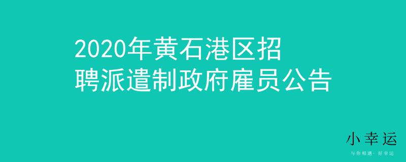 2020年黄石港区招聘派遣制政府雇员公告