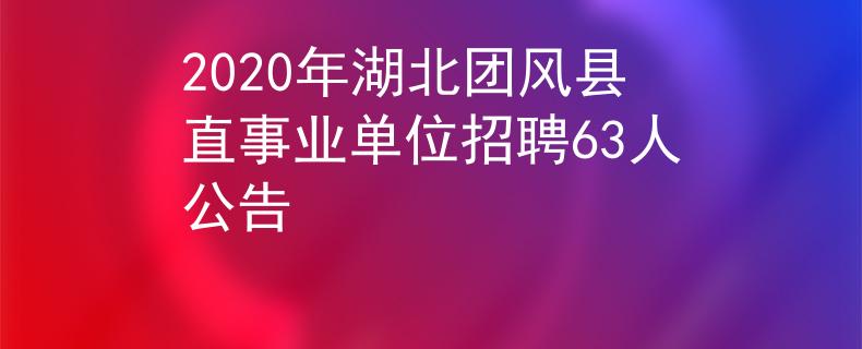 2020年湖北团风县直事业单位招聘63人公告