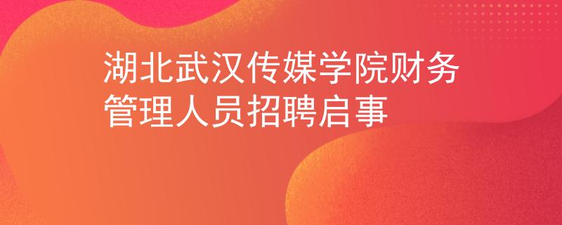 湖北武汉传媒学院财务管理人员招聘启事
