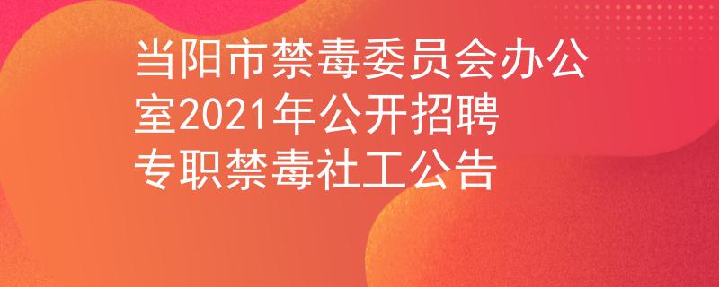 当阳市禁毒委员会办公室2021年公开招聘专职禁毒社工公告