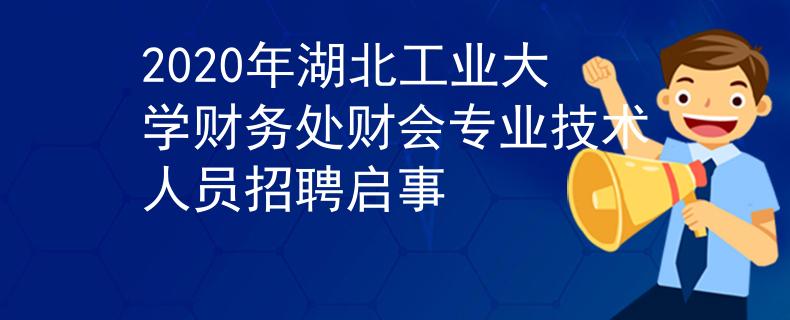 2020年湖北工业大学财务处财会专业技术人员招聘启事