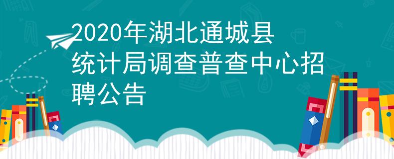 2020年湖北通城县统计局调查普查中心招聘公告