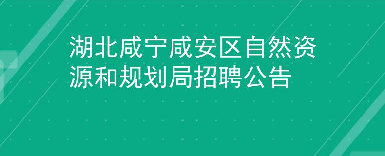 湖北咸宁咸安区自然资源和规划局招聘公告