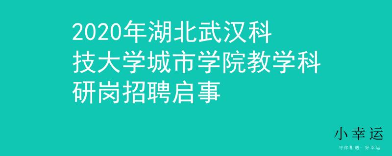 2020年湖北武汉科技大学城市学院教学科研岗招聘启事