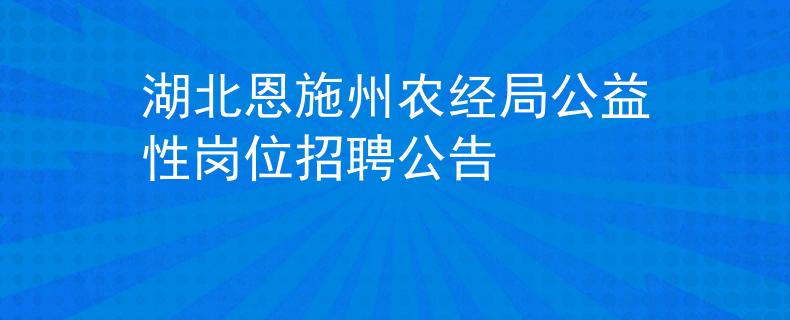 湖北恩施州农经局公益性岗位招聘公告