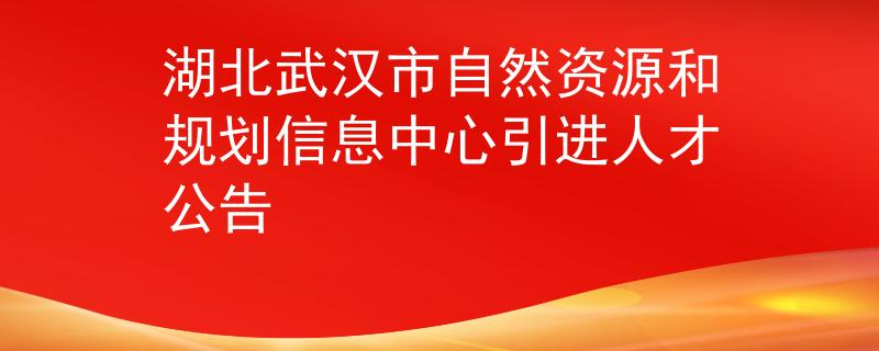 湖北武汉市自然资源和规划信息中心引进人才公告
