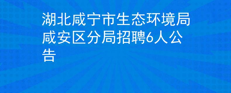 湖北咸宁市生态环境局咸安区分局招聘6人公告