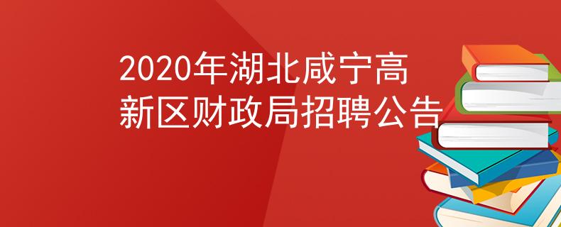 2020年湖北咸宁高新区财政局招聘公告