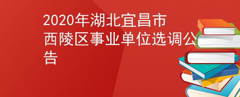 2020年湖北宜昌市西陵区事业单位选调公告