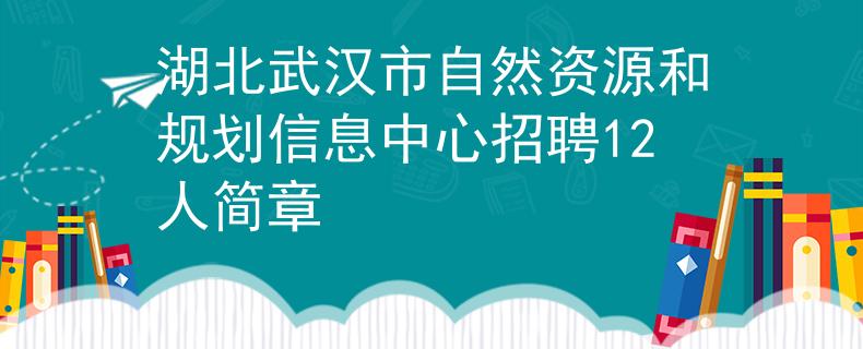 湖北武汉市自然资源和规划信息中心招聘12人简章