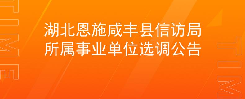 湖北恩施咸丰县信访局所属事业单位选调公告