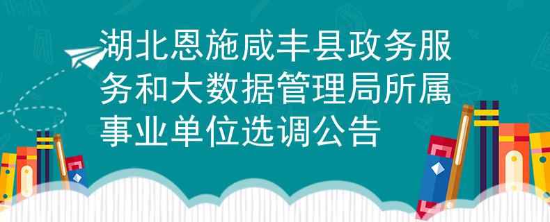 湖北恩施咸丰县政务服务和大数据管理局所属事业单位选调公告