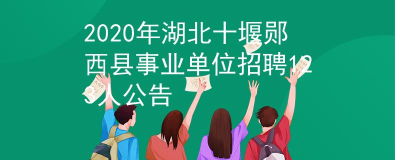 2020年湖北十堰郧西县事业单位招聘123人公告