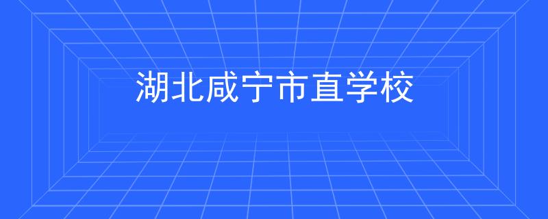 湖北咸宁市直学校