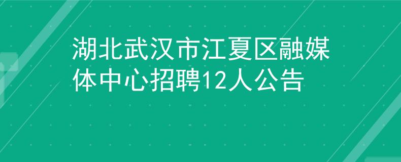 湖北武汉市江夏区融媒体中心招聘12人公告