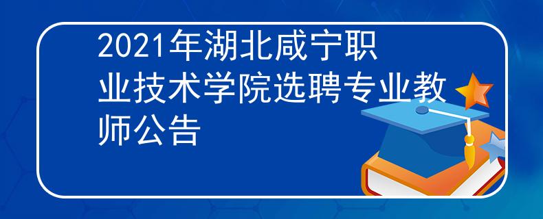 2021年湖北咸宁职业技术学院选聘专业教师公告