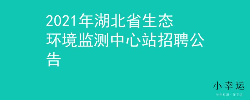 2021年湖北省生态环境监测中心站招聘公告