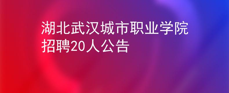 湖北武汉城市职业学院招聘20人公告