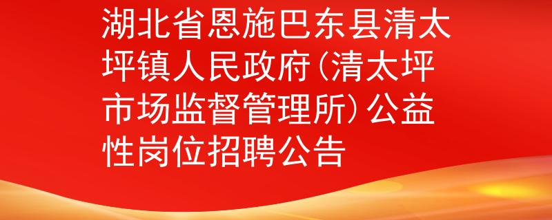 湖北省恩施巴东县清太坪镇人民政府(清太坪市场监督管理所)公益性岗位招聘公告