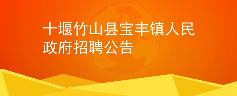 十堰竹山县宝丰镇人民政府招聘公告