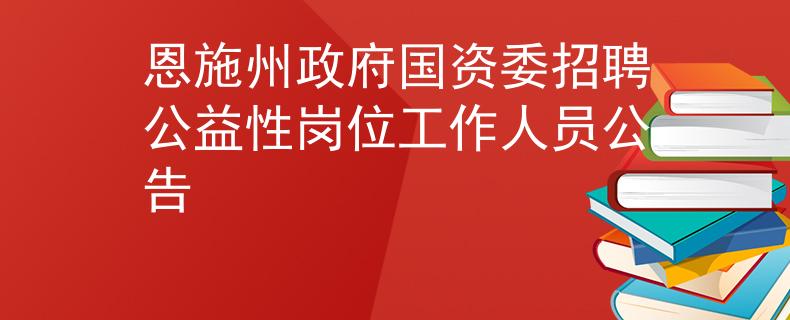 恩施州政府国资委招聘公益性岗位工作人员公告
