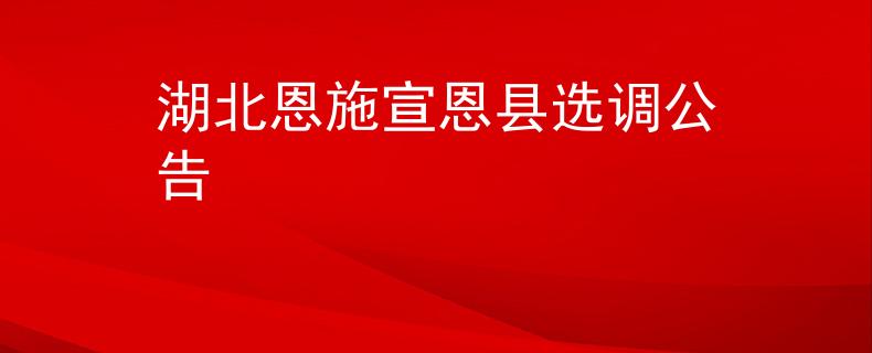 湖北恩施宣恩县选调公告