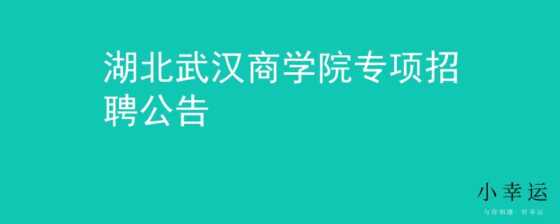 湖北武汉商学院专项招聘公告