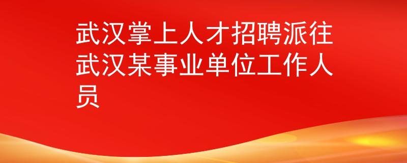 武汉掌上人才招聘派往武汉某事业单位工作人员