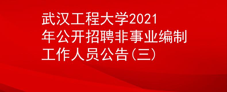 武汉工程大学2021年公开招聘非事业编制工作人员公告(三)