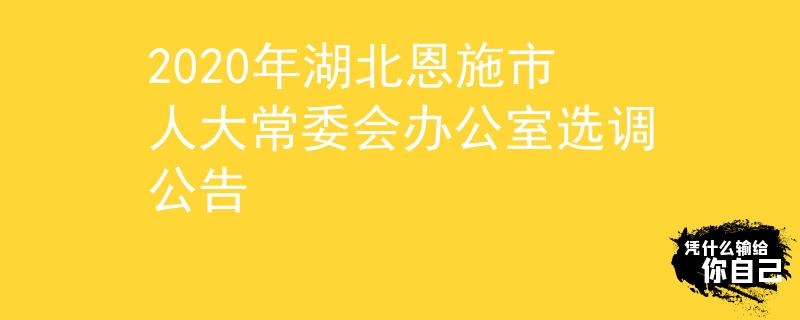 2020年湖北恩施市人大常委会办公室选调公告