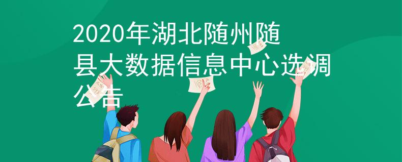 2020年湖北随州随县大数据信息中心选调公告