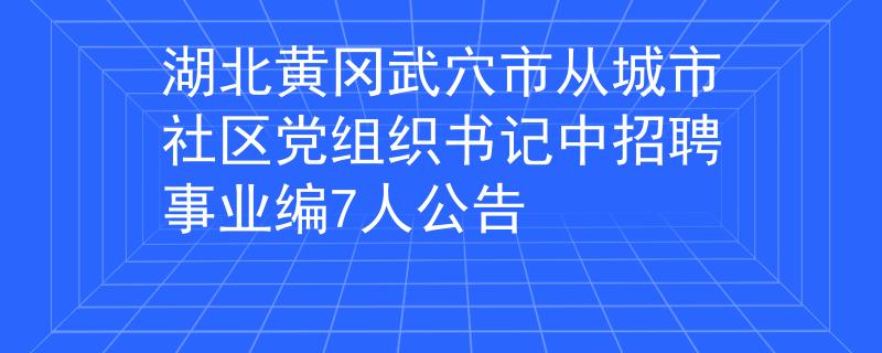 湖北黄冈武穴市从城市社区党组织书记中招聘事业编7人公告
