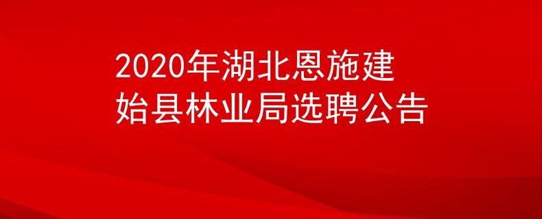 2020年湖北恩施建始县林业局选聘公告