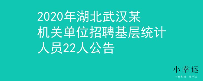 2020年湖北武汉某机关单位招聘基层统计人员22人公告