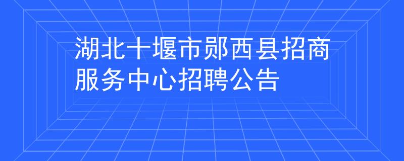 湖北十堰市郧西县招商服务中心招聘公告