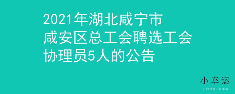 2021年湖北咸宁市咸安区总工会聘选工会协理员5人的公告