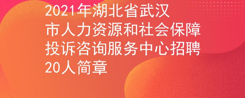 2021年湖北省武汉市人力资源和社会保障投诉咨询服务中心招聘20人简章