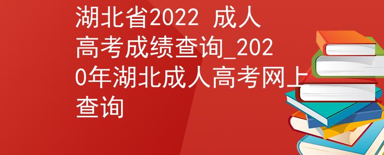 湖北省2022 成人高考成绩查询_2020年湖北成人高考网上查询
