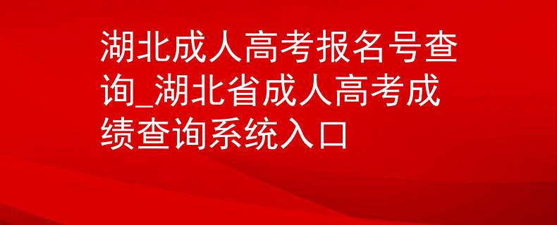 湖北成人高考报名号查询_湖北省成人高考成绩查询系统入口