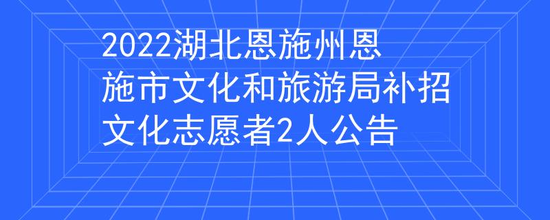2022湖北恩施州恩施市文化和旅游局补招文化志愿者2人公告