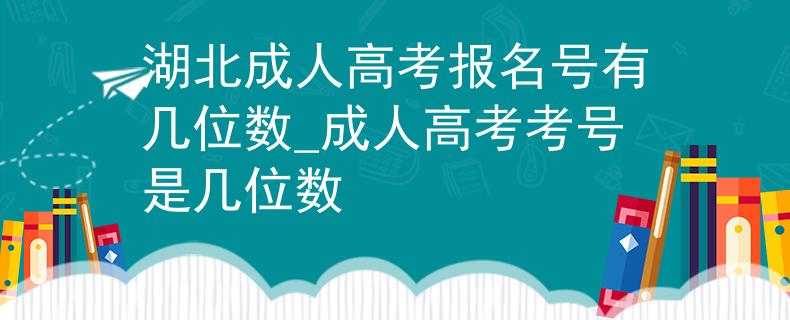 湖北成人高考报名号有几位数_成人高考考号是几位数
