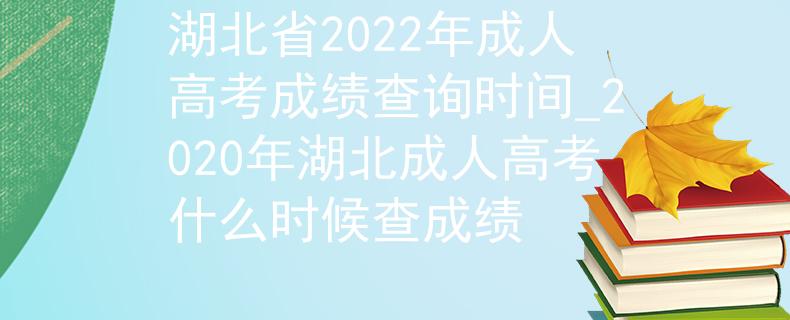 湖北省2022年成人高考成绩查询时间_2020年湖北成人高考什么时候查成绩
