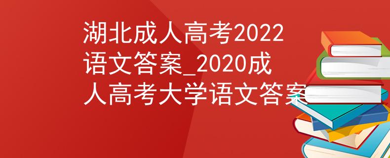 湖北成人高考2022语文答案_2020成人高考大学语文答案