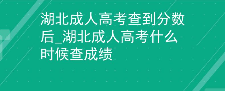 湖北成人高考查到分数后_湖北成人高考什么时候查成绩