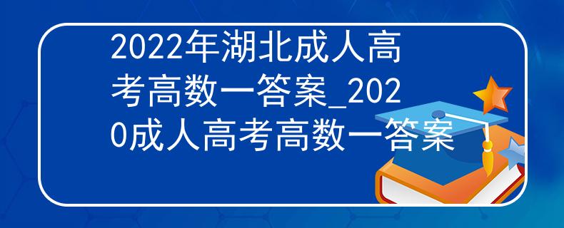 2022年湖北成人高考高数一答案_2020成人高考高数一答案