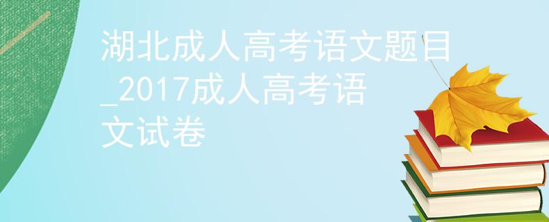 湖北成人高考语文题目_2017成人高考语文试卷