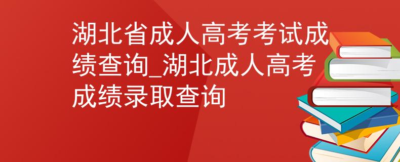 湖北省成人高考考试成绩查询_湖北成人高考成绩录取查询