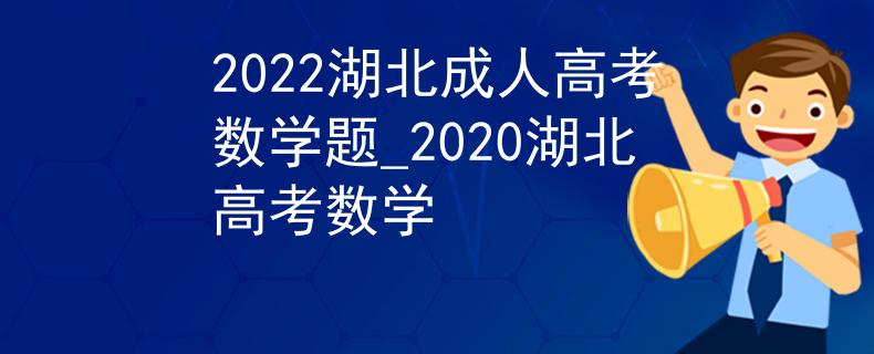 2022湖北成人高考数学题_2020湖北高考数学